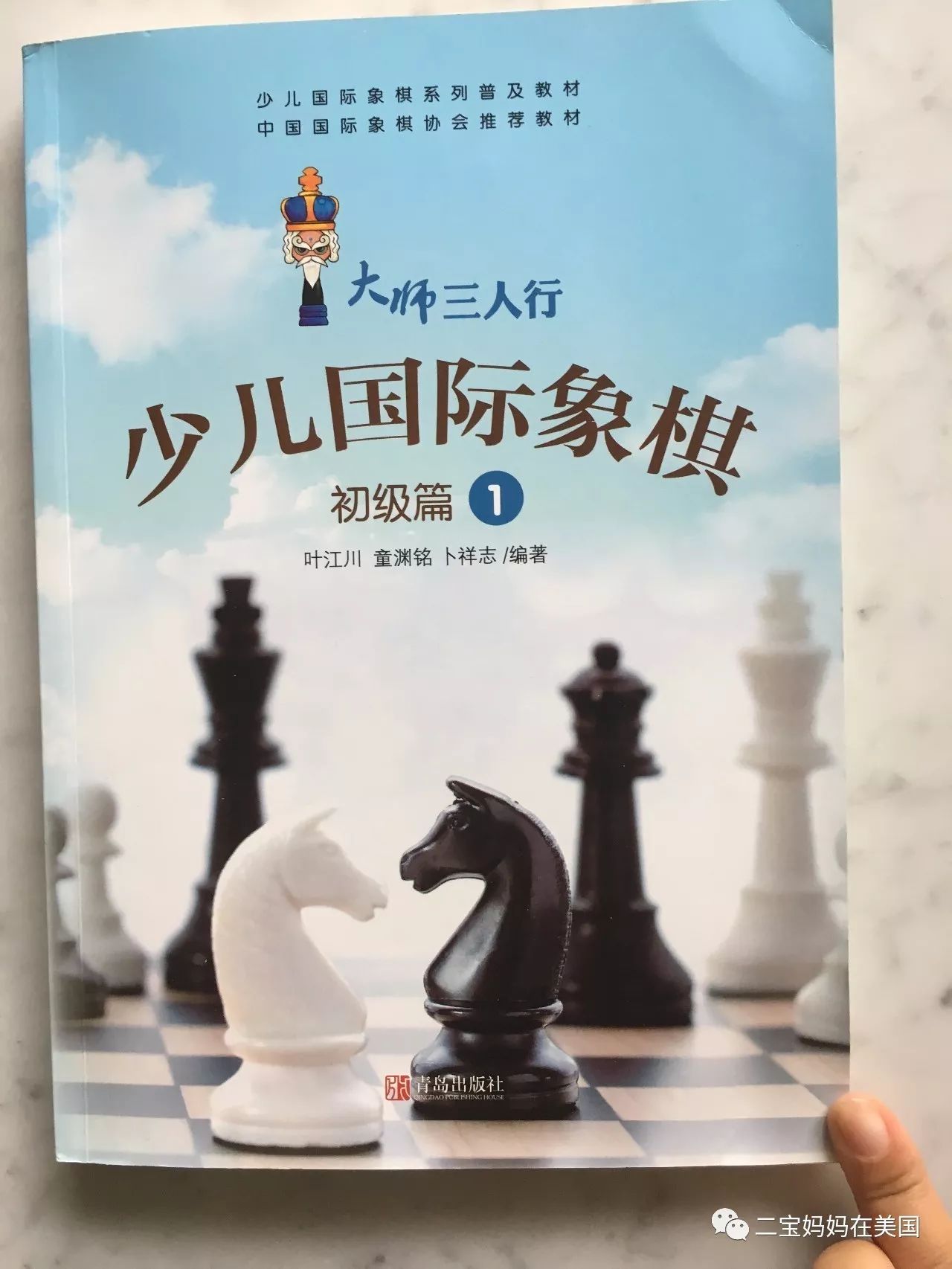 助力孩子的智力發(fā)育——國(guó)際象棋(圖7)