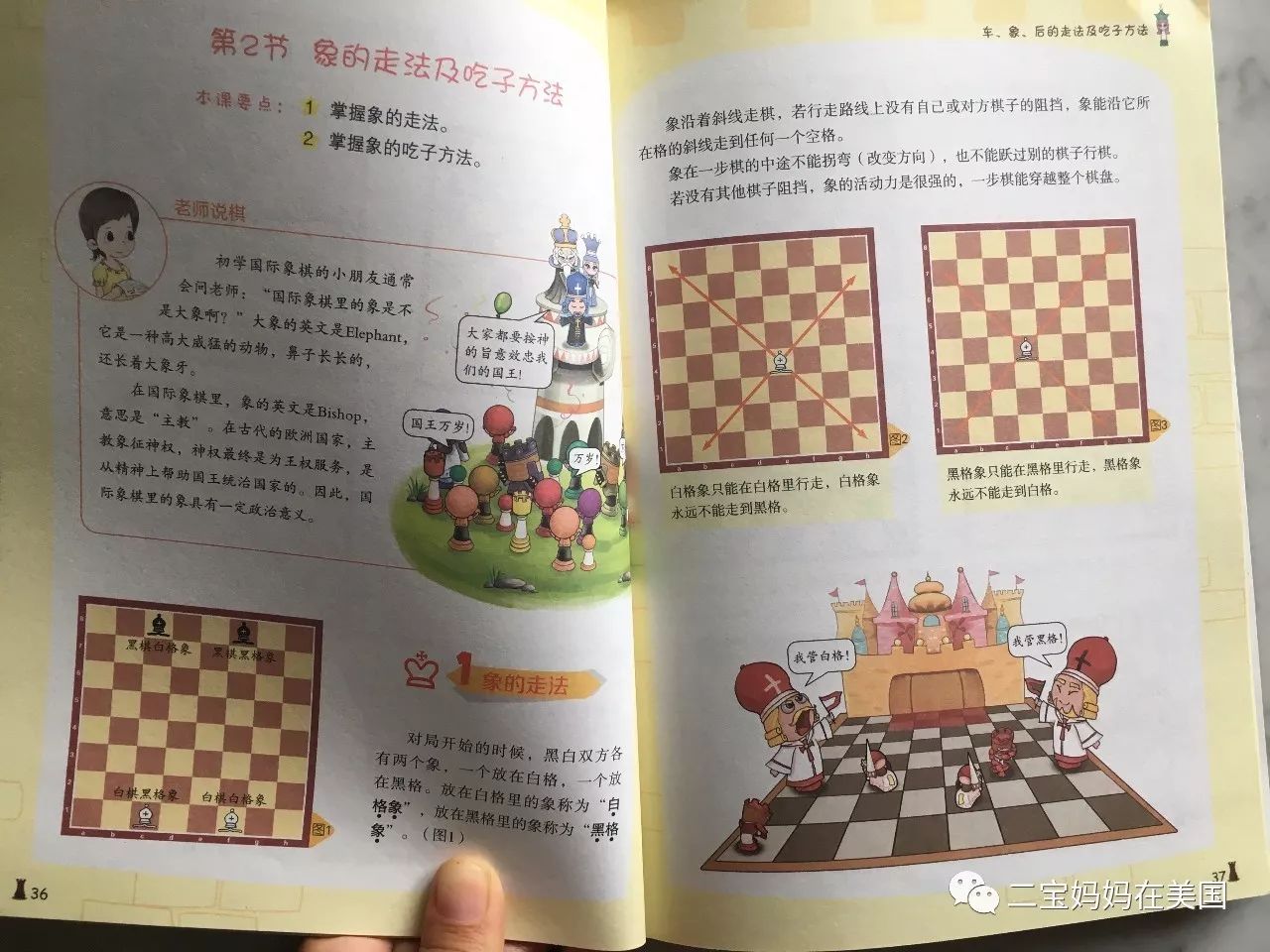 助力孩子的智力發(fā)育——國(guó)際象棋(圖8)